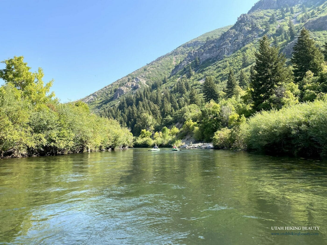 Top or Best Poster Design Agencies and Companies in Provo, Utah