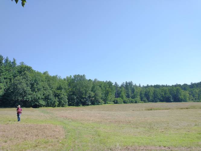 Top or Best TikTok Management Agencies and Companies in Milford, New Hampshire