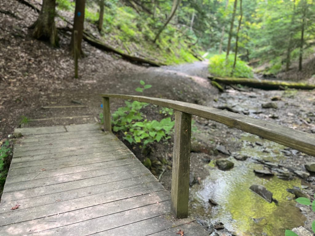 Top or Best Drawing and Illustration Agencies and Companies in Wheeling, West Virginia