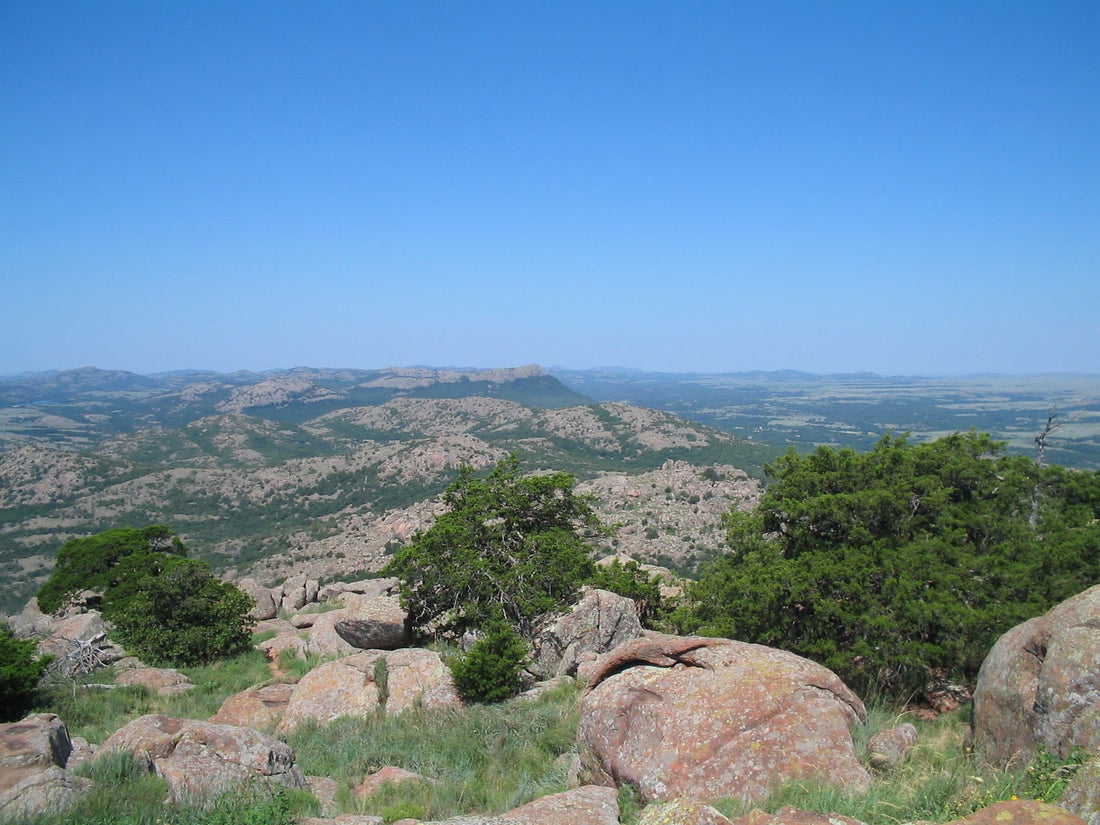 Top or Best Postcard Design Agencies and Companies in Lawton, Oklahoma