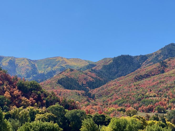 Top or Best Menu Design Agencies and Companies in Spanish Fork, Utah