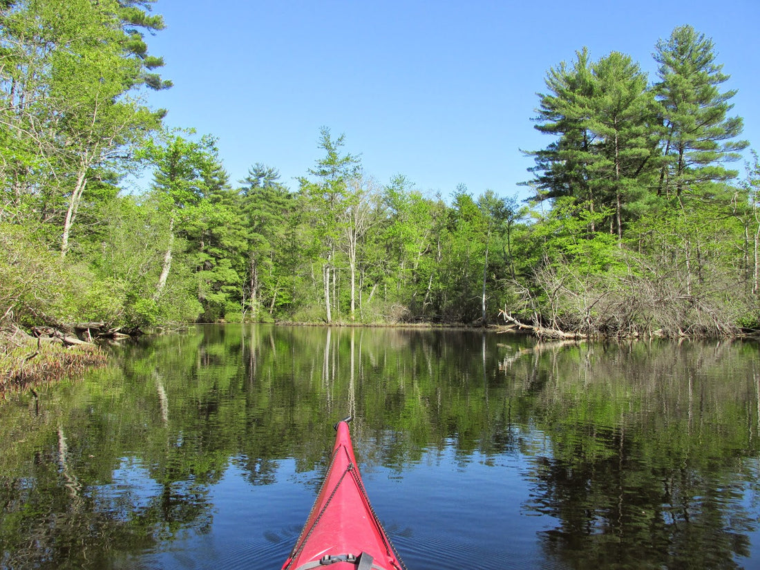 Top or Best LinkedIn Management Agencies and Companies in Exeter, New Hampshire