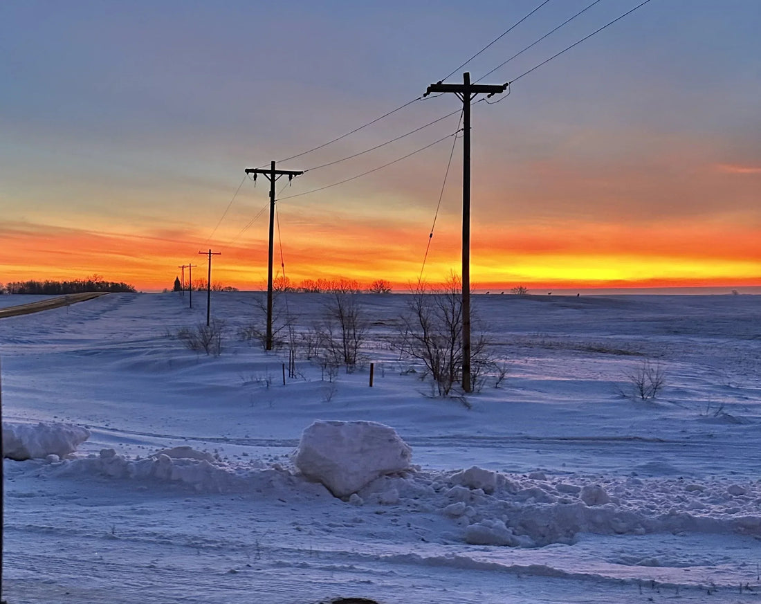 Top or Best Graphic Design Agencies and Companies in Devils Lake, North Dakota
