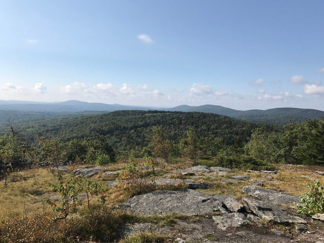 Top or Best Twitch Management Agencies and Companies in Bedford, New Hampshire