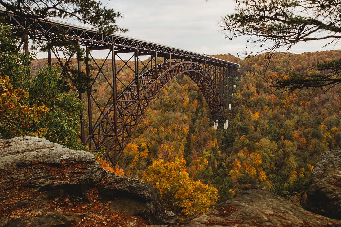 Top or Best Infographic Design Agencies and Companies in Oak Hill, West Virginia