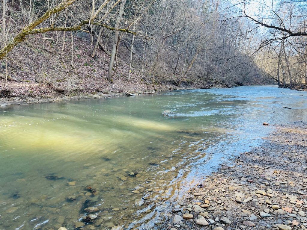 Top or Best Instagram Management Agencies and Companies in Weirton, West Virginia