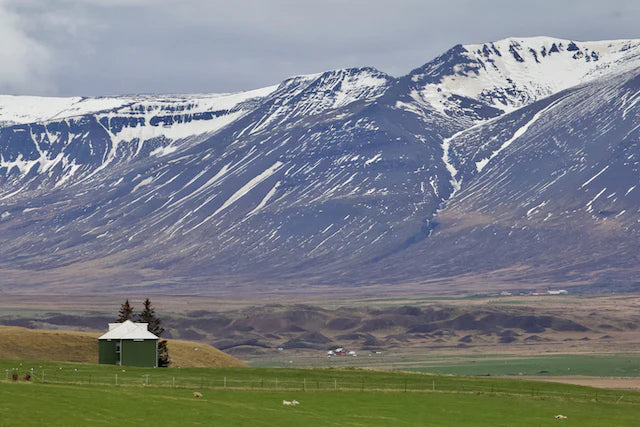 Top or Best Talent Management Agencies and Companies in Iceland