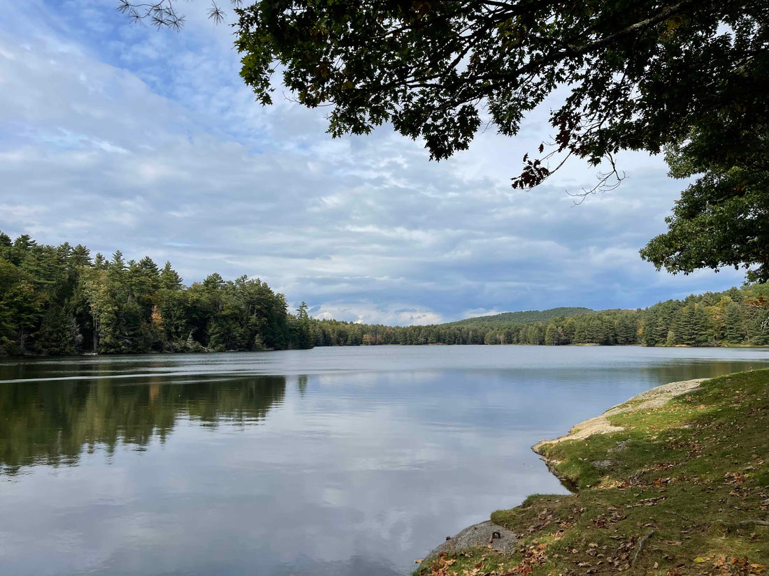 Top or Best Banner Ads Agencies and Companies in Essex, Vermont