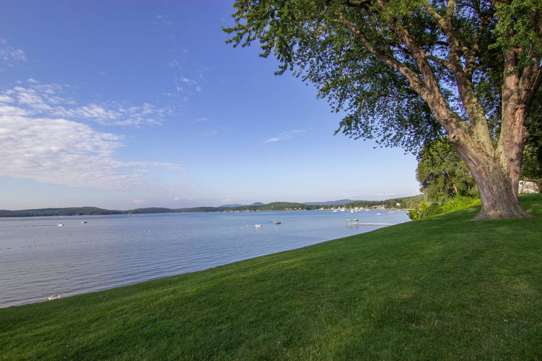 Top or Best TikTok Management Agencies and Companies in Colchester, Vermont