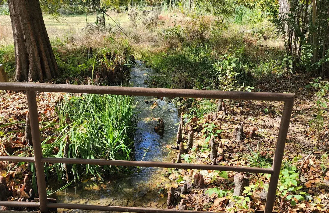 Best or Top Custom Graphics for Videos Agencies and Companies in Muskogee, Oklahoma