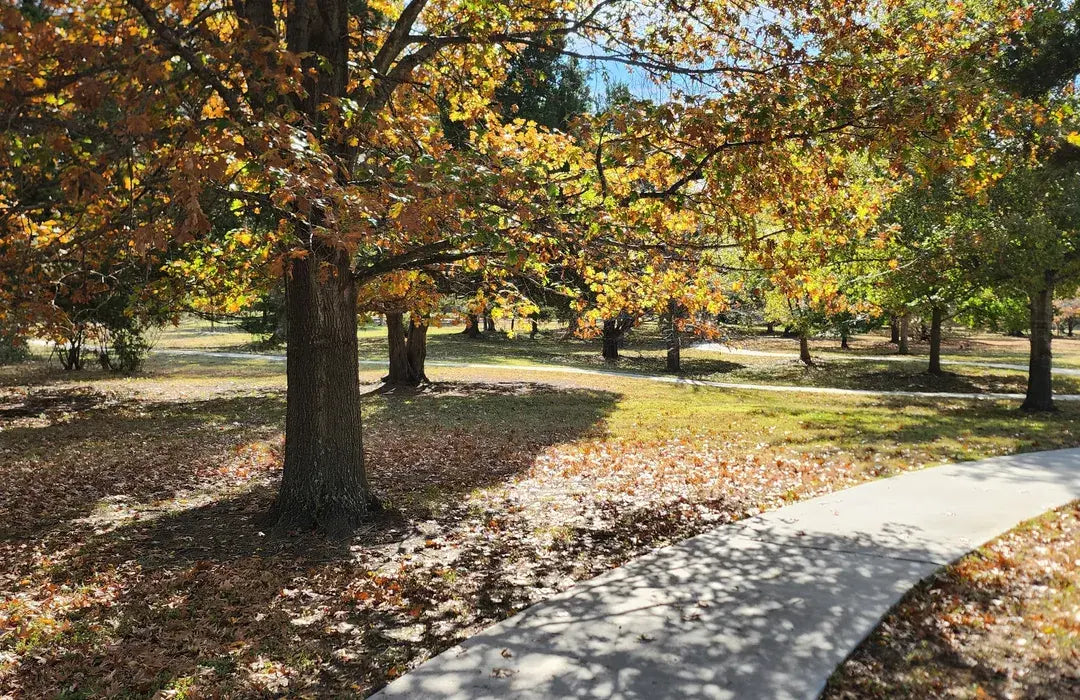 Best or Top Virtual Background Design Agencies and Companies in Muskogee, Oklahoma