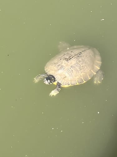 Best or Top Email Campaign Design Agencies and Companies in Muskogee, Oklahoma