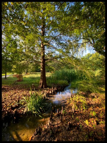 Best or Top Social Media Management Agencies and Companies in Muskogee, Oklahoma