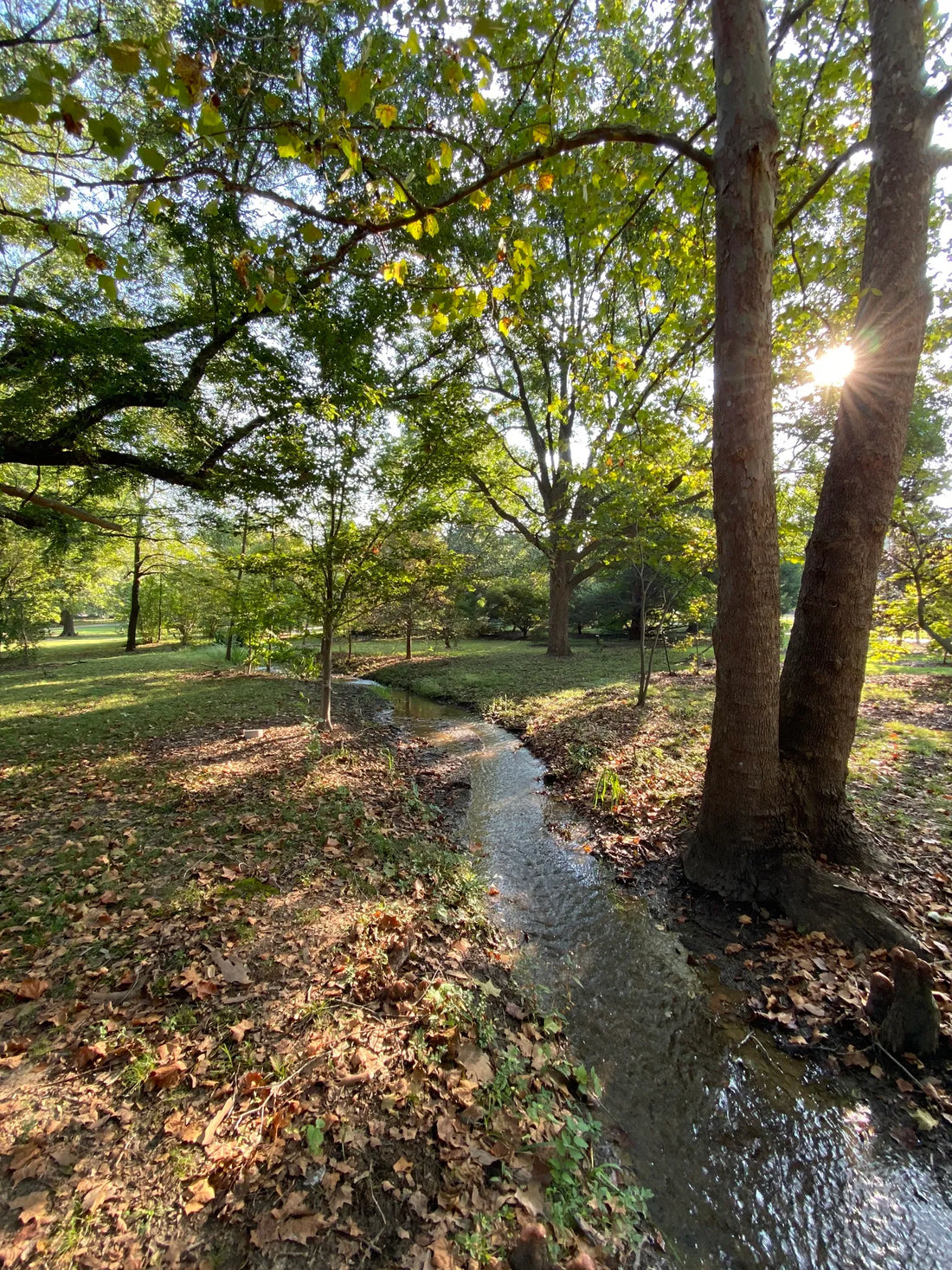 Best or Top TikTok Management Agencies and Companies in Muskogee, Oklahoma