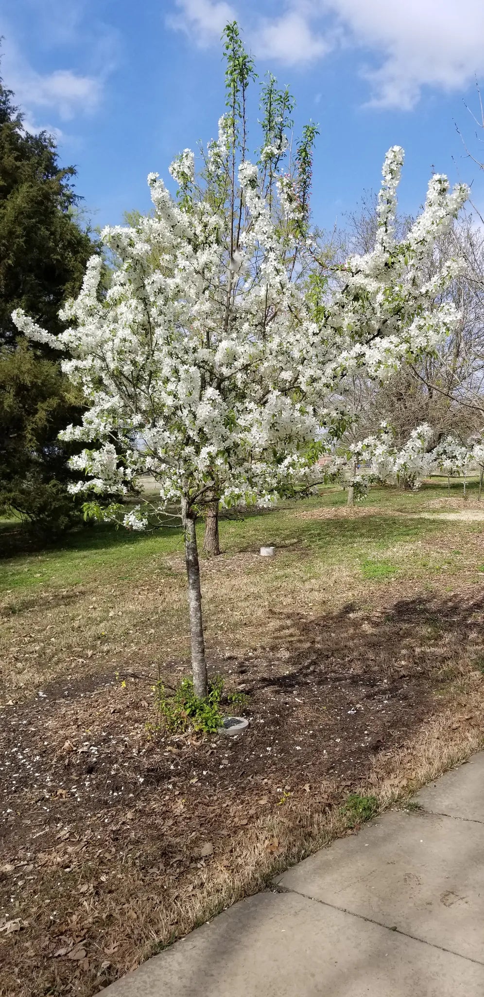 Best or Top LinkedIn Management Companies and Agencies in Muskogee, Oklahoma