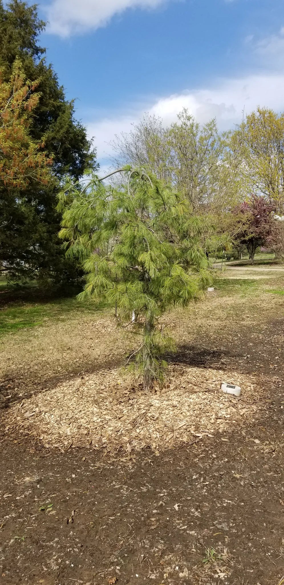 Best or Top X (Twitter) Management Agencies and Companies in Muskogee, Oklahoma