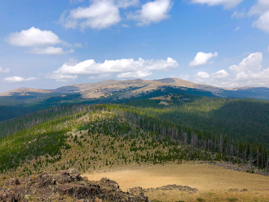 Top or Best App UI/UX Design Agencies and Companies in Buffalo, Wyoming