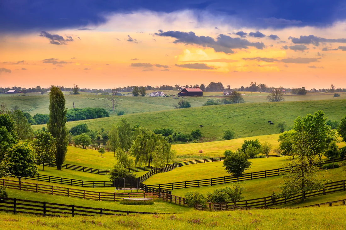 Top or Best Twitch Management Agencies and Companies in Independence, Kentucky