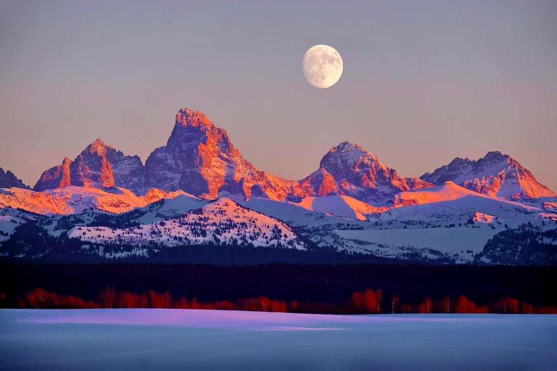 Top or Best Email Campaign Design Agencies and Companies in Ammon, Idaho