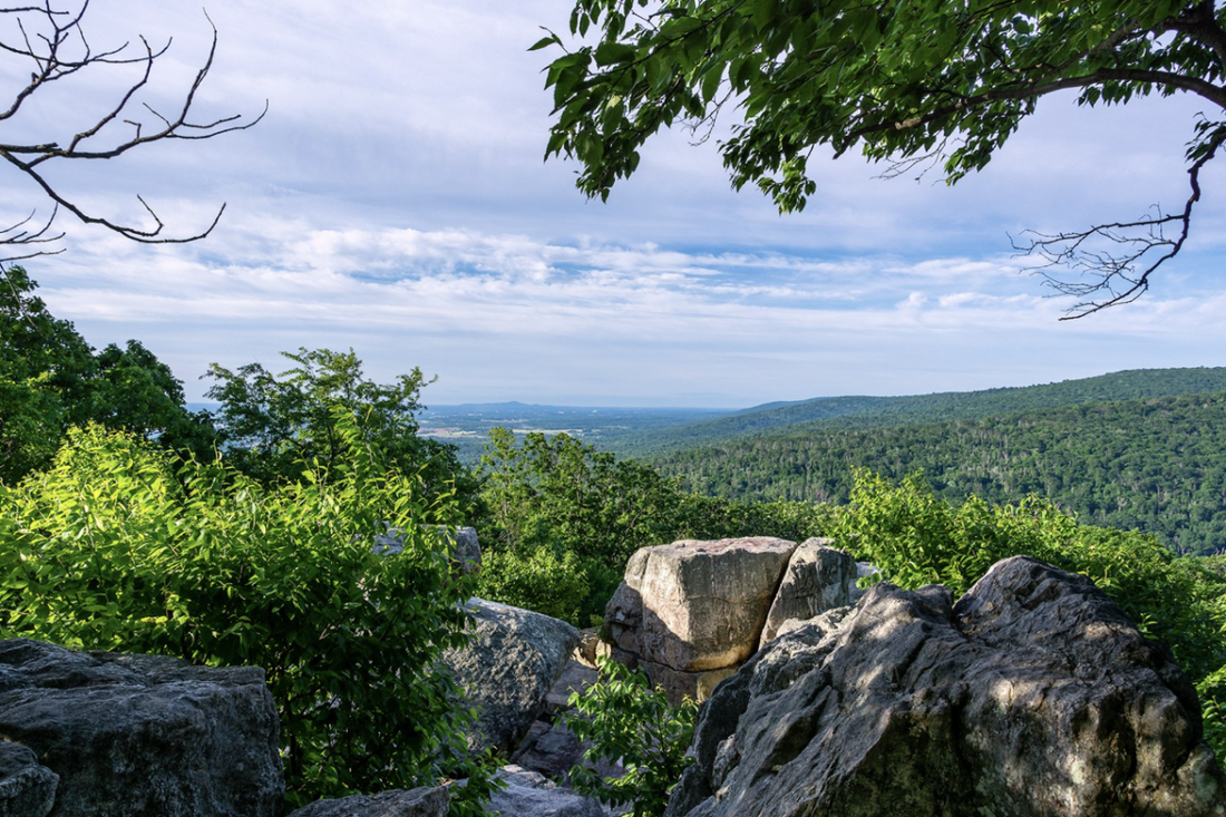 Top or Best Facebook Management Agencies and Companies in Waldorf, Maryland