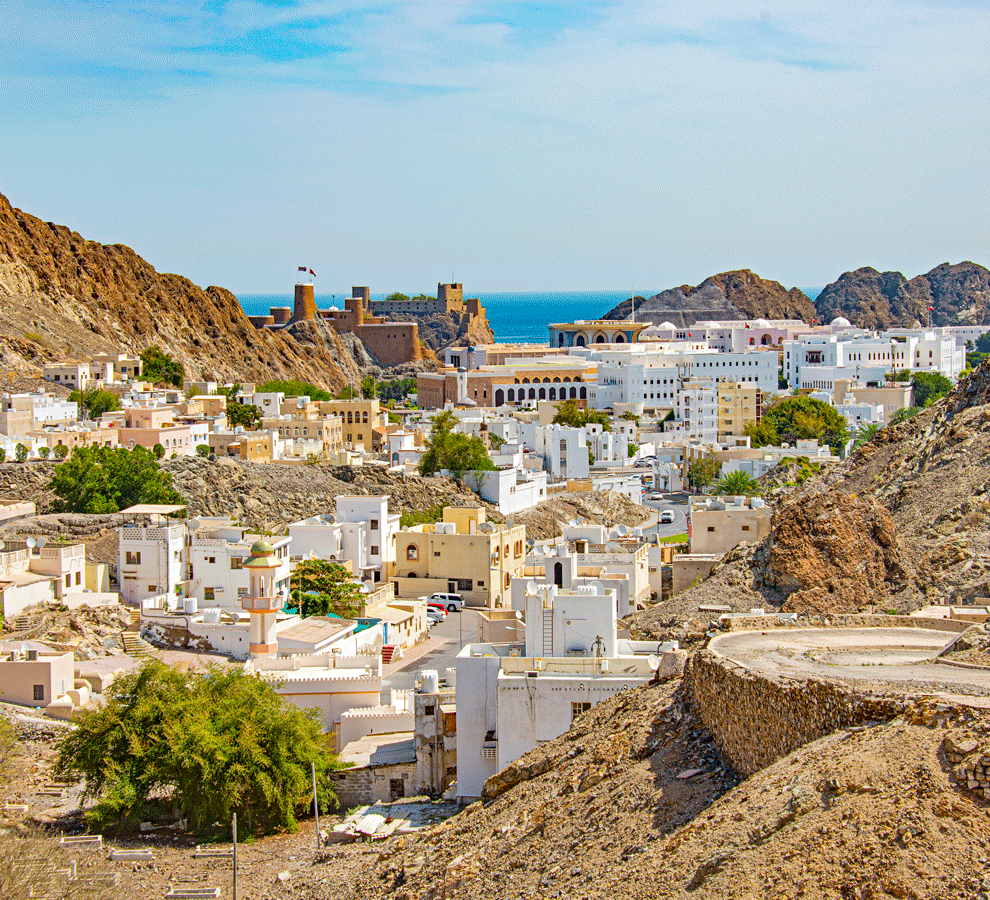 Best Facebook Management Companies in Oman