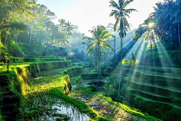 Top AR Filters and Lenses Agencies in Indonesia