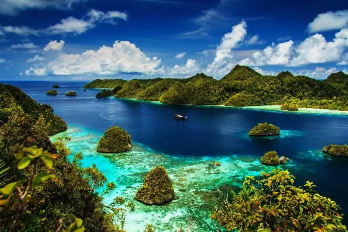 Top Brand Identity Packages Agencies in Indonesia