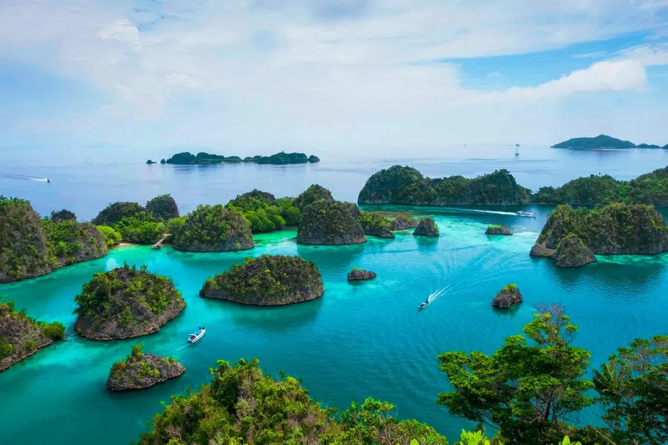Top Cartoons and Comics Agencies in Indonesia