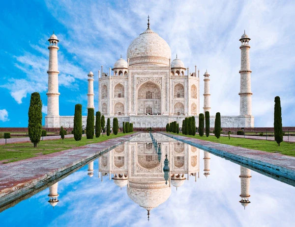 Top Custom Graphics for Videos Agencies in India