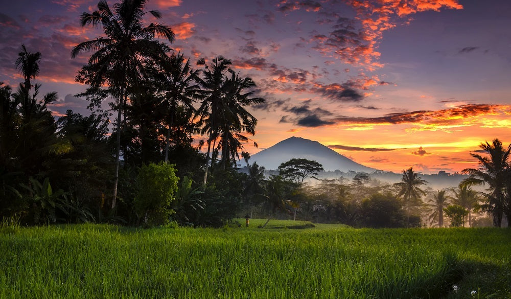 Top Email Campaign Design Agencies in Indonesia