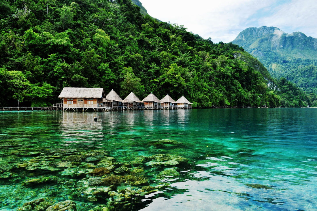 Top Infographic Design Agencies in Indonesia