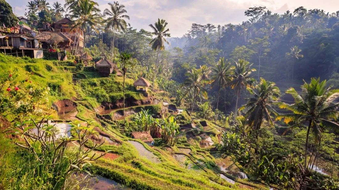 Top Web and Mobile Design Agencies in Indonesia