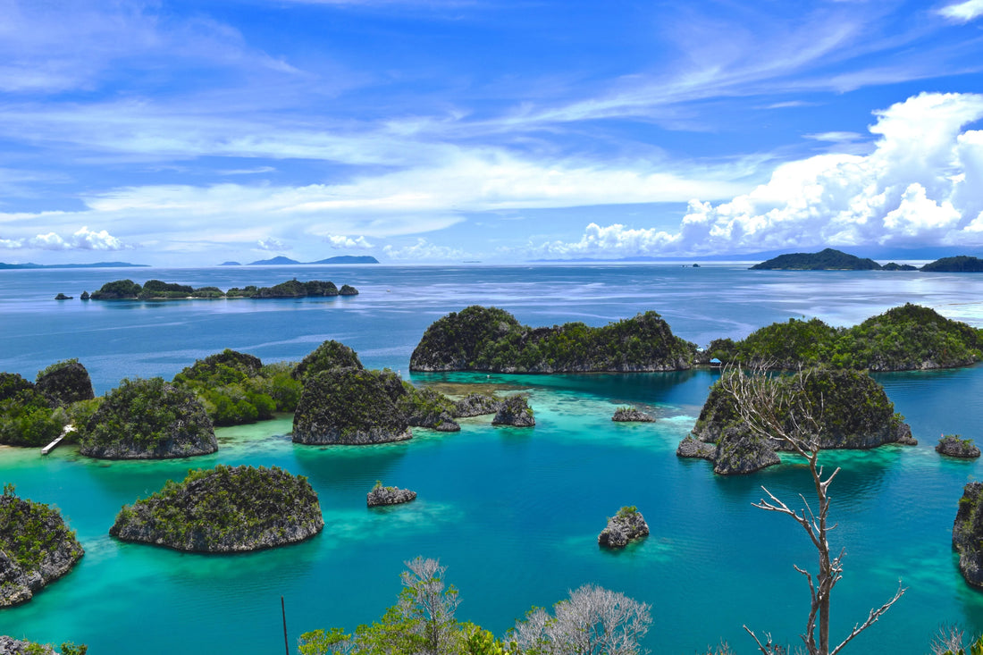 Top Website Design Agencies in Indonesia