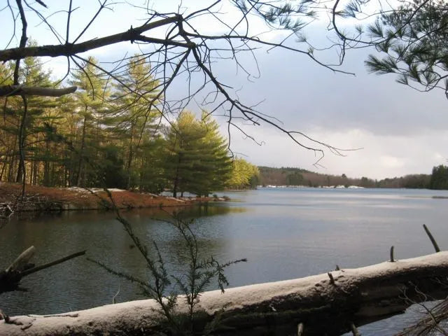 Top or Best LinkedIn Management Agencies and Companies in Essex, Vermont