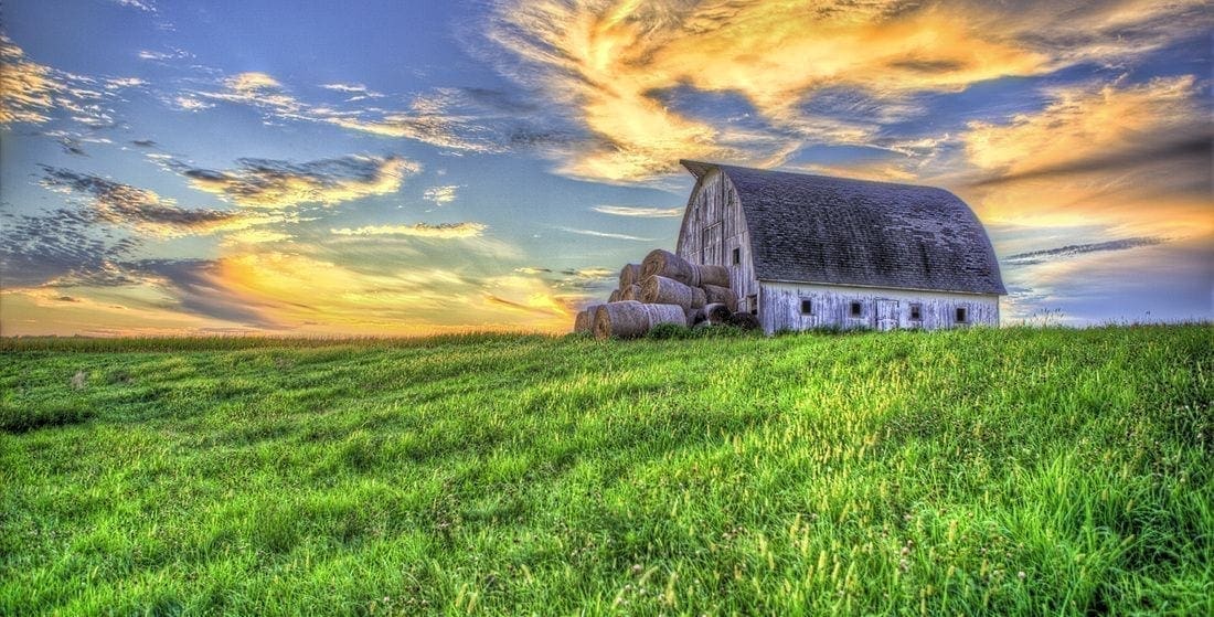 Top or Best Mural Design Agencies and Companies in Wes Des Moines, Iowa