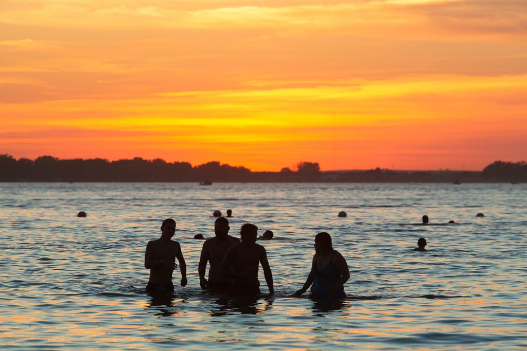 Top or Best X (Twitter) Management Agencies and Companies in Lexington, Nebraska