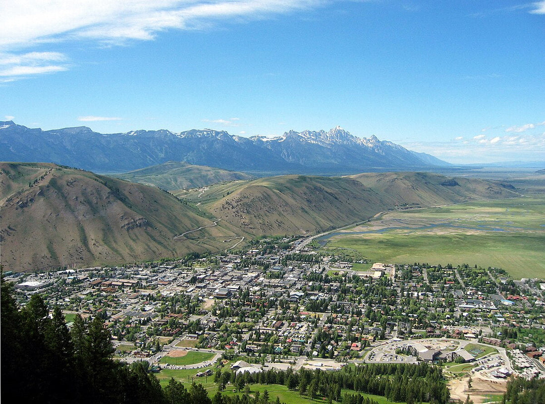 Top or Best Storyboards Agencies and Companies in Jackson, Wyoming