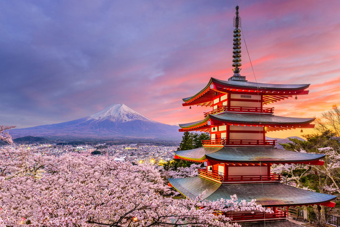 Best Twitter Management Companies in Japan