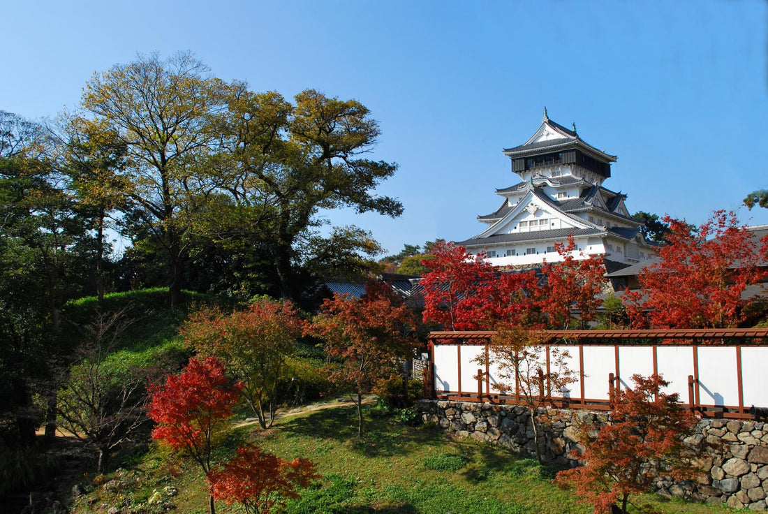 Top or Best Drawing & Illustration Agencies and Companies in Kitakyūshū, Japan