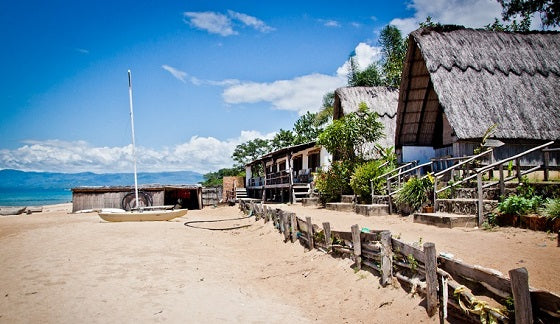 Top 5 Logo Animation Agencies in Malawi