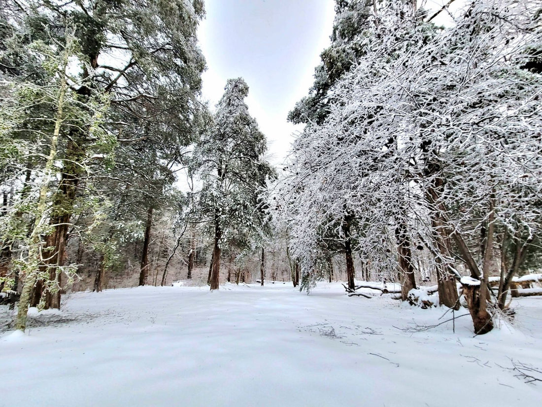 Top or Best Social Media Design Agencies and Companies in Erlanger, Kentucky