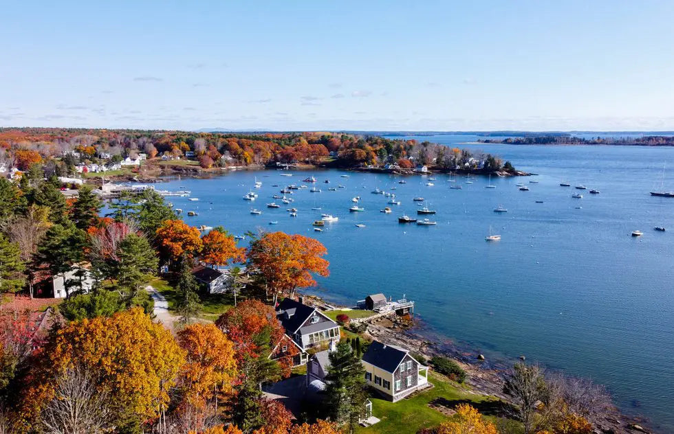 Top or Best NFT Art Agencies and Companies in Wells, Maine
