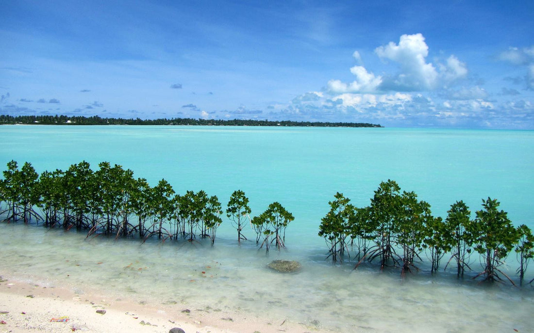Top or Best Influencer Brand Partnership Agencies and Companies in Kiribati