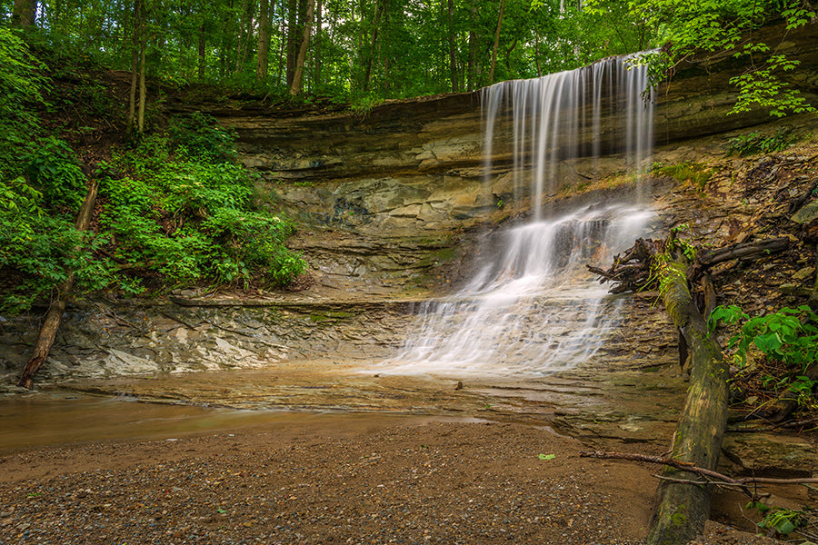 Top or Best Infographic Design Agencies and Companies in Fort Wayne, Indiana