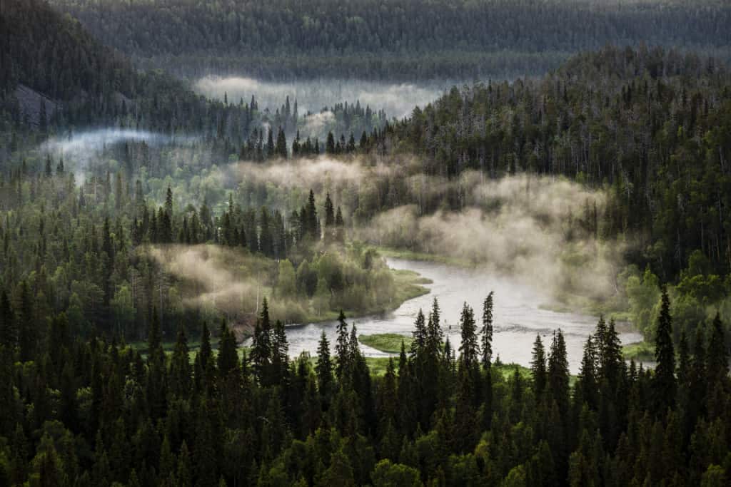Top 5 Flyer Design Agencies in Finland