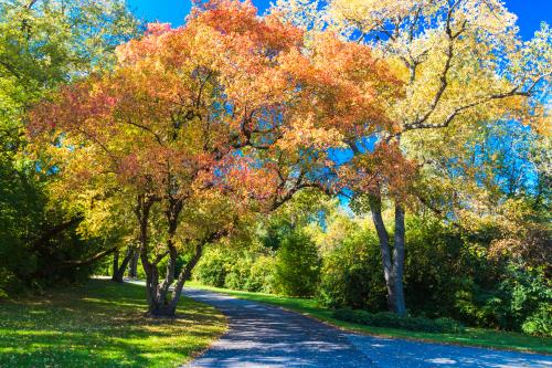 Top or Best Twitch Management Agencies and Companies in Rockford, Illinois