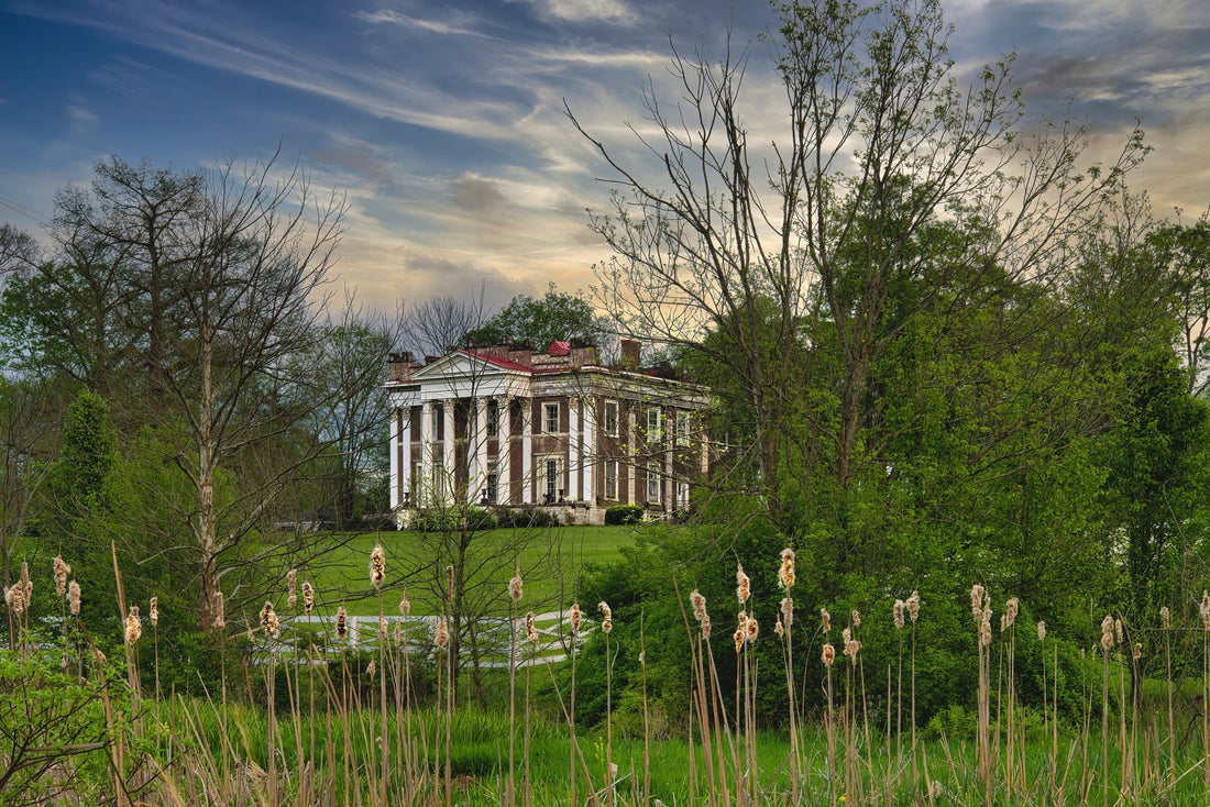 Top or Best Graphics for Streamers Agencies and Companies in Georgetown, Kentucky