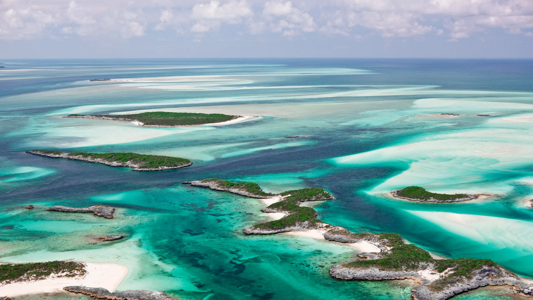 Top Flyer Design Agencies in the Bahamas