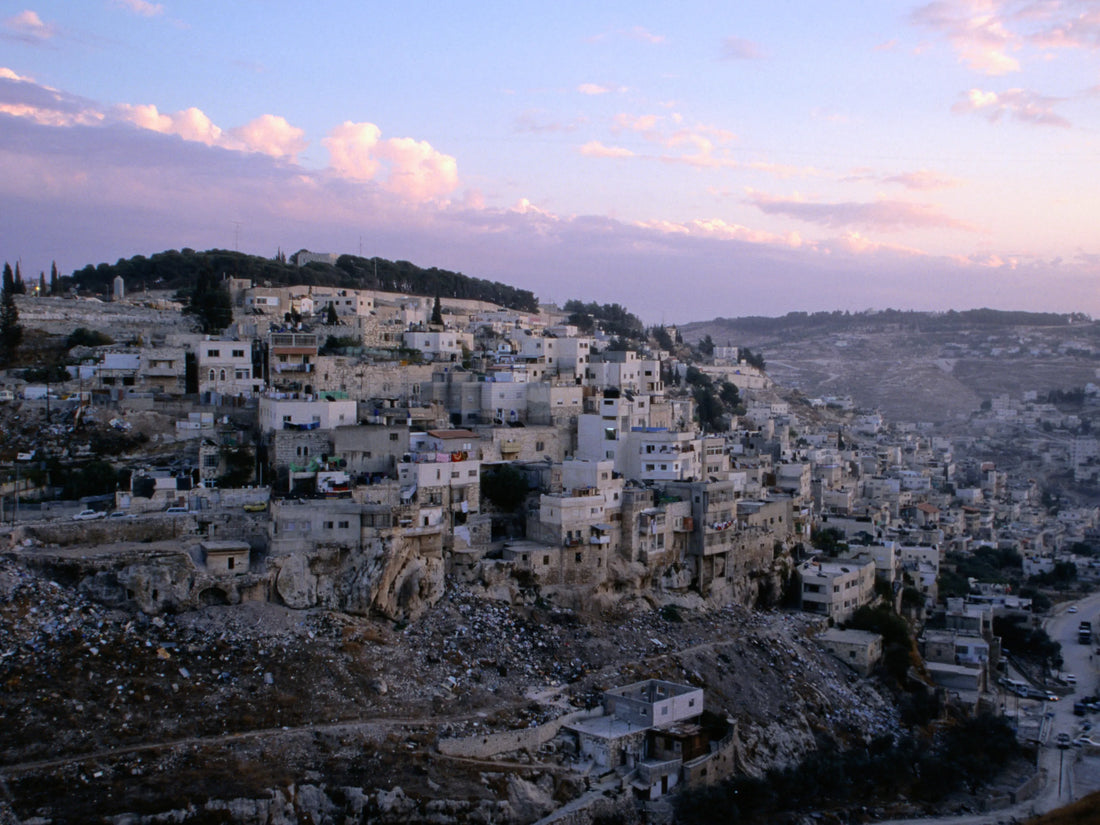 Best Instagram Management Companies in Palestine