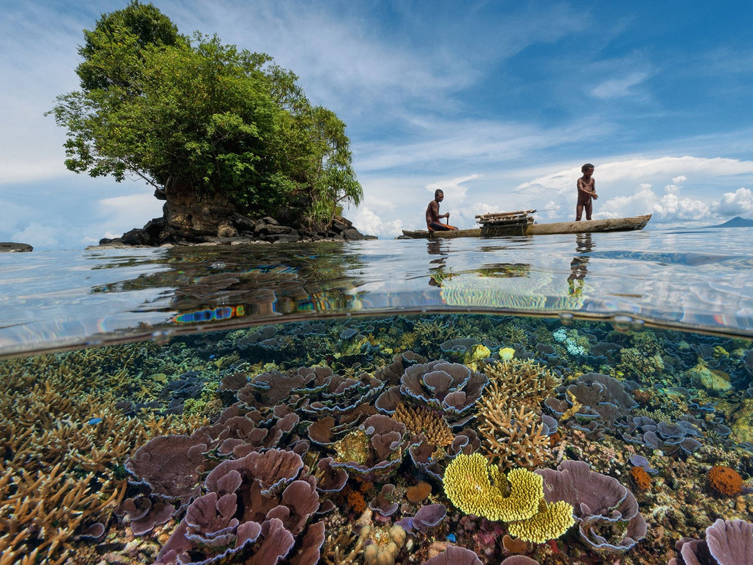 Top 5 Virtual Background Design Agencies in Papua New Guinea